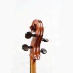 Sandra Martins violoncelle tête