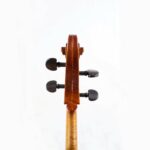 Sandra Martins violoncelle tête
